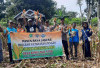 Tujuh BUMDes di Lebong Tengah Sudah Panen Jagung, Kecamatan Belum Terima Laporan Hasil