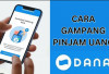 Cara Pinjam Uang di Aplikasi DANA Tanpa Fitur PayLater