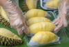 Panduan Konsumsi Durian: Manfaat, Batasan, dan Tips Sehat