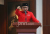 Nilai Rupiah Tertekan Dolar AS, Hasto PDIP Singgung Soliditas Pemerintah