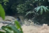 Teriakan Histeris di Tengah Air Bah: Video Viral Remaja Terjebak di Sungai Bioa Kemaceak Viral di Medsos