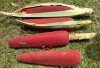 Manfaat Buah Merah Dari Papua Untuk Kecantikan