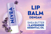  5 Rekomendasi Lip Balm Dengan SPF Saat Bibir Cepat Kering 