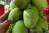 7 Khasiat Mengonsumsi Mangga Muda Campur Garam, Baik untuk Kesehatan Hati