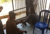 Heboh Gigitan Anjing Liar, 100 Dosis Vaksin Rabies Disuntikkan