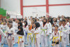 315 Atlet Ikuti Kejuaraan Taekwondo Buts Open 2025 di Bengkulu Utara