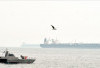Selat Hormuz Resmi Dibuka, 2 Kapal Pertamina Bersiap Melintas
