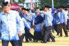 Kelulusan PPPK Tahap 2 Mulai Diumumkan, Penundaan Rekrutmen PPPK di Lebong Bagaimana?