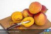 5 Manfaat Biji Mangga, Bikin Pencernaan Makin Sehat