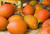 Mengenal Buah Pupia untuk Menghaluskan Kulit