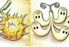 Oda Bongkar Buah Iblis yang Bisa Kalahkan Keabadian Five Elders One Piece