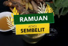 Sembelit? Intip Ramuan Herbal Mudah dari Temulawak hingga Daun Ungu