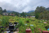 Cegah Wabah Penyakit, Warga Diminta Tidak Buang Sampah ke Pemakaman dan Sungai