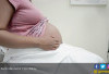 3 Khasiat Rutin Mengonsumsi Kerang untuk Ibu Hamil