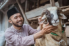 Apa Yang Harus Diperhatikan Saat Memilih Hewan Kurban?