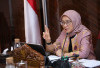 Kapan Seleksi CPNS & PPPK 2025 Dibuka? Jawaban MenPAN-RB Rini Bikin Nelangsa