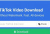 Cara Mudah Download Video Lucu dari Aplikasi TikTok, Tanpa Watermark