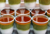 Selain Dibuat Bubur, Ini Ide Baru Cari Duit dari Kacang Hijau