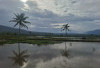 Program Cetak Sawah Baru, 2025 Sebatas Susun SID