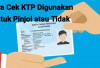 Cara Mengecek KTP dan NIK Anda Apakah Dipakai Pinjol atau Tidak?