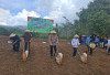 Polres Lebong Tanam Jagung Serentak Kuartal III