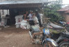Harga Kopi di Rejang Lebong Turun di Bawah Rp 50 Ribu per Kg, Petani Khawatir Jelang Puncak Panen