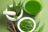3 Manfaat Masker Daun Mimba untuk Wajah Berjerawat